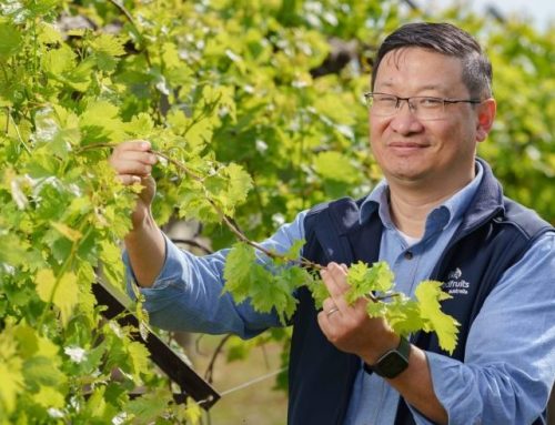 New award for dried fruit industry