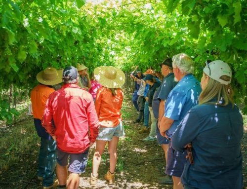 Awards celebrate top dried fruit growers
